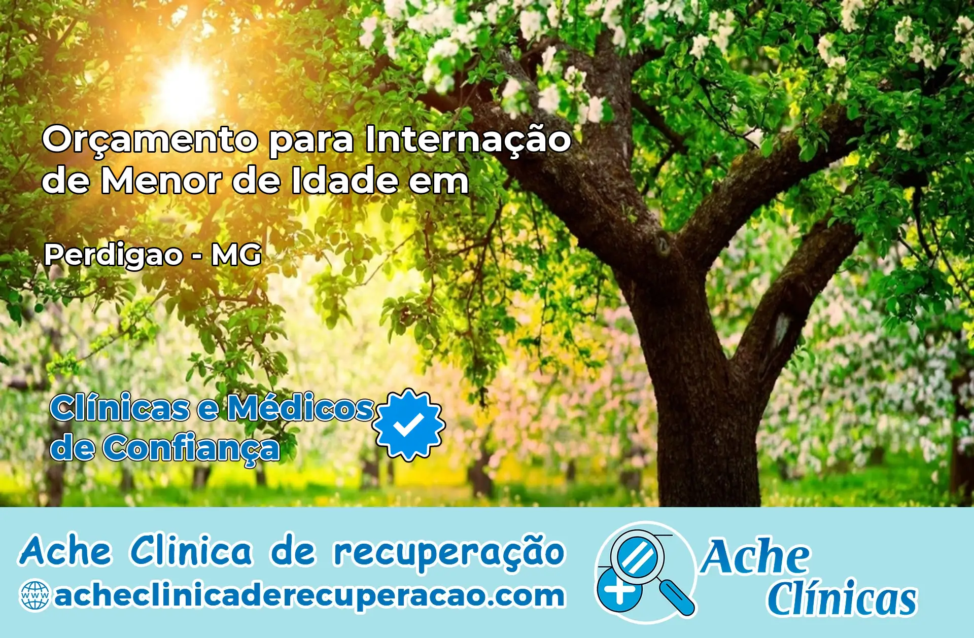 Internação de Menor de Idade em Perdigão – MG