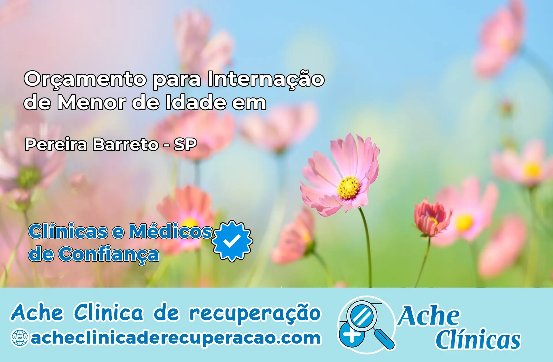 Internação de Menor de Idade em Pereira Barreto – SP