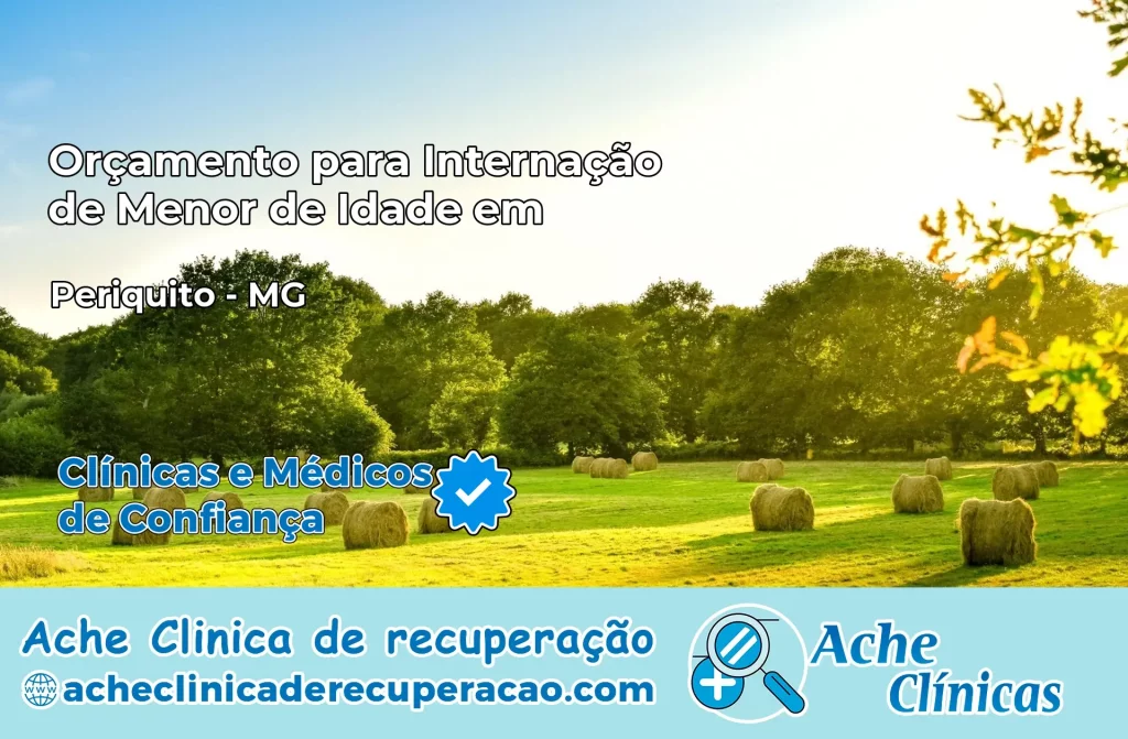 Internação de Menor de Idade em Periquito – MG
