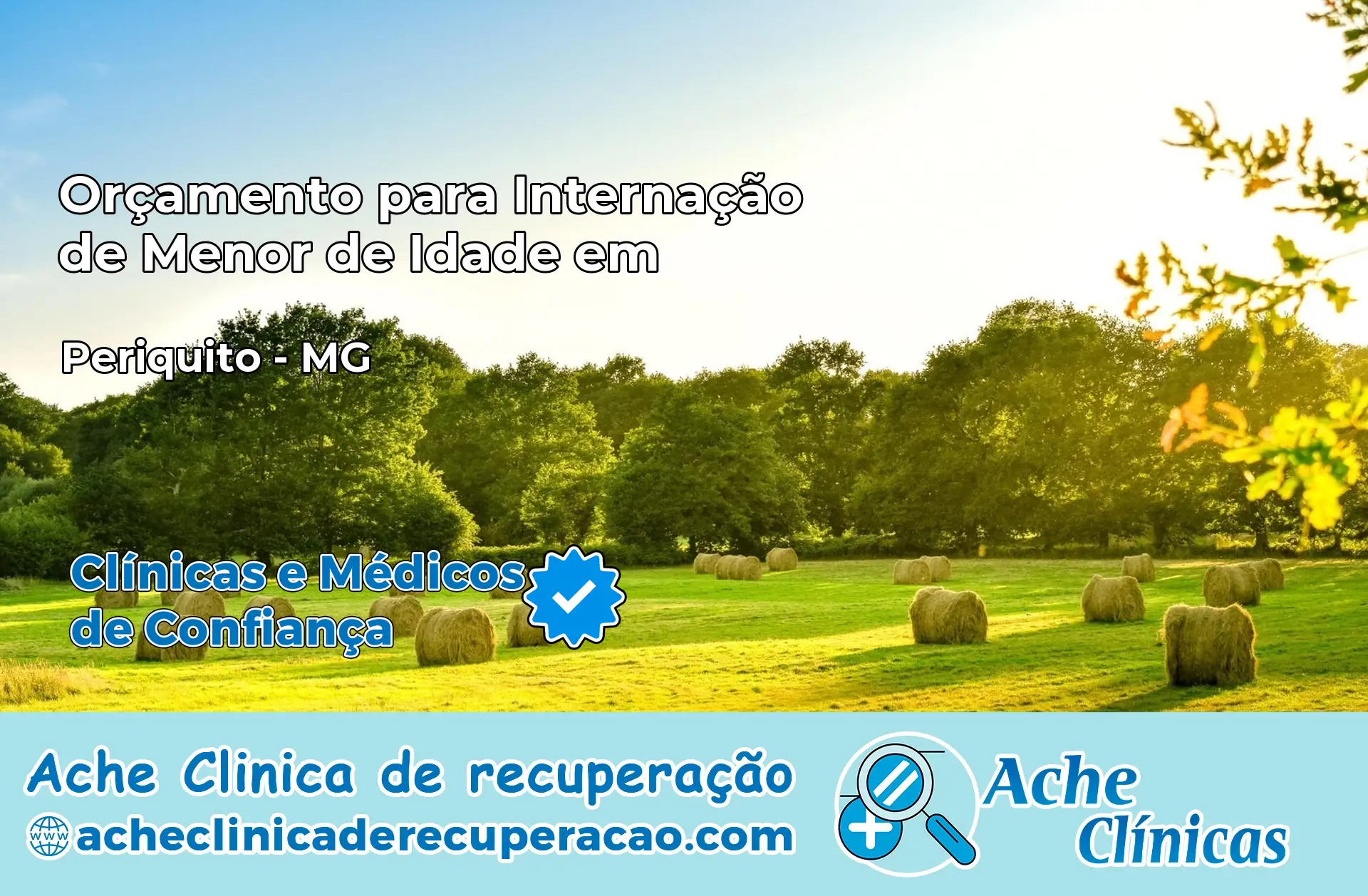 Internação de Menor de Idade em Periquito – MG