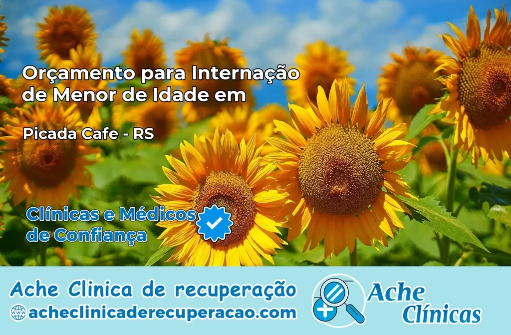 Internação de Menor de Idade em Picada Café – RS