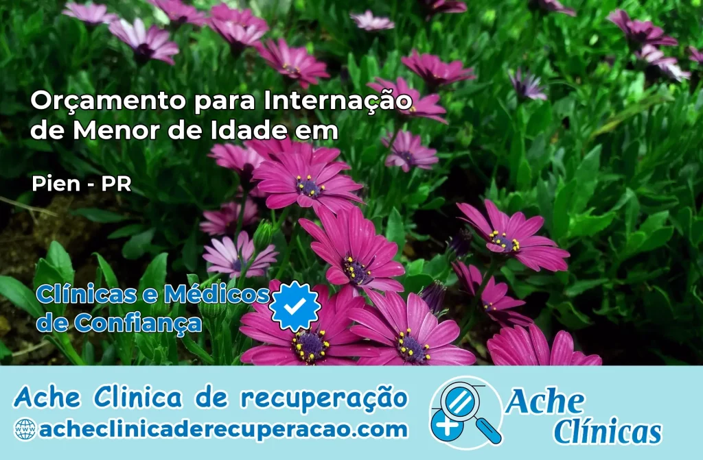 Internação de Menor de Idade em Piên – PR