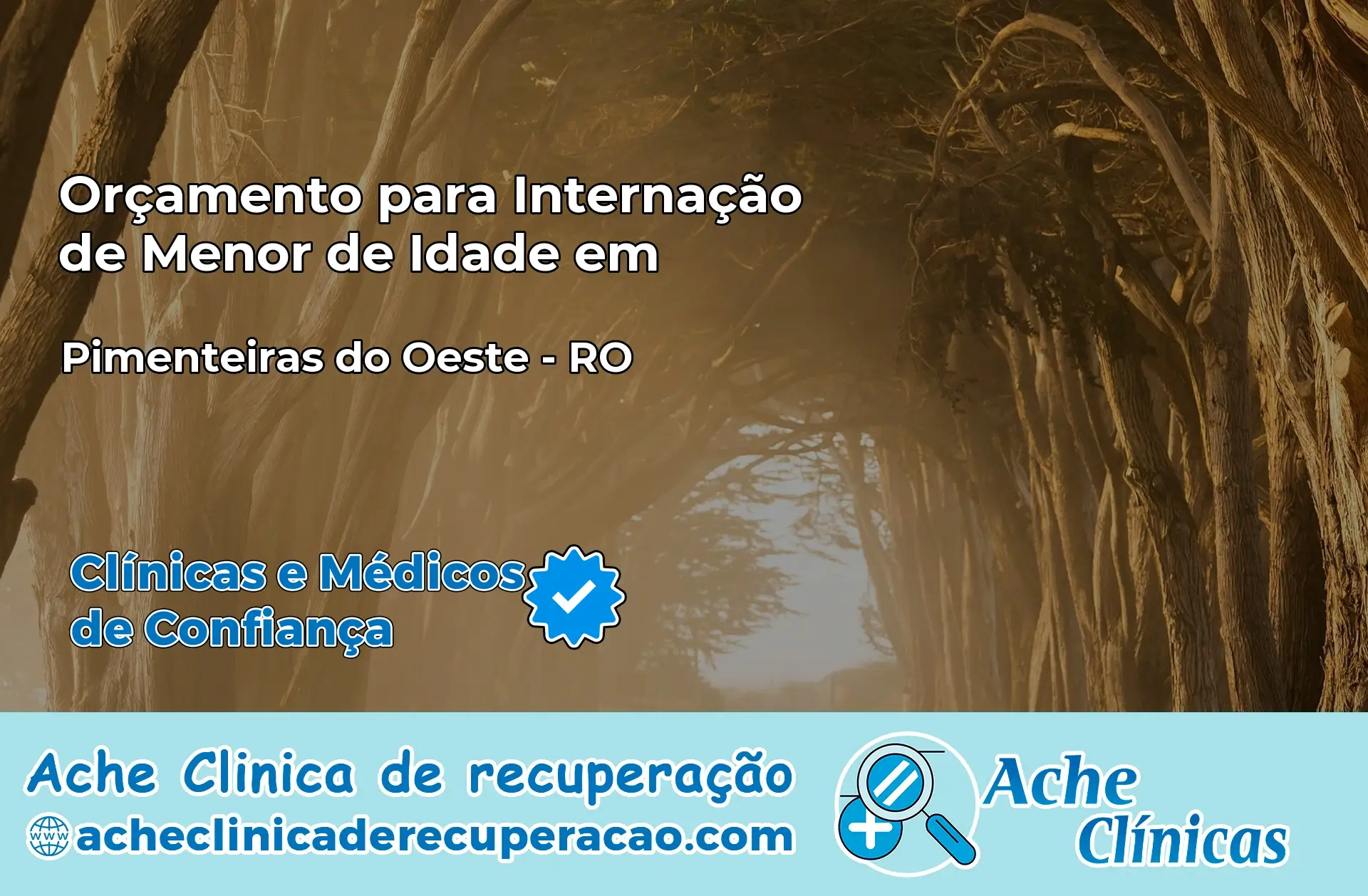 Internação de Menor de Idade em Pimenteiras do Oeste – RO