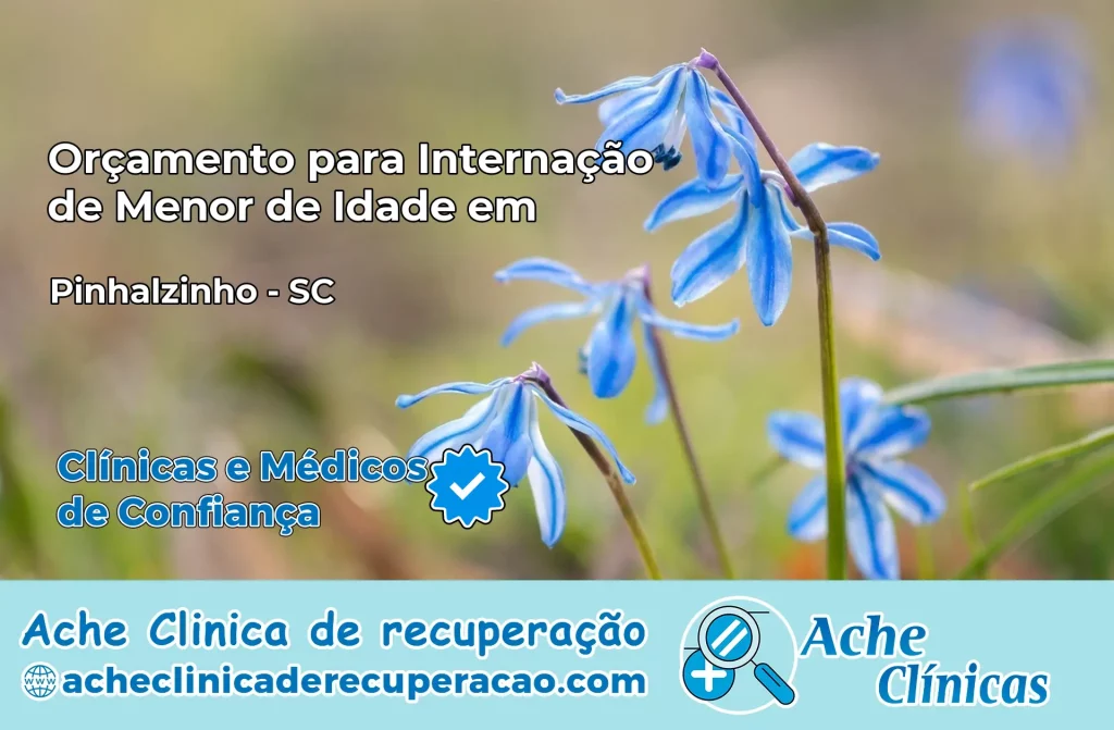 Internação de Menor de Idade em Pinhalzinho – SC