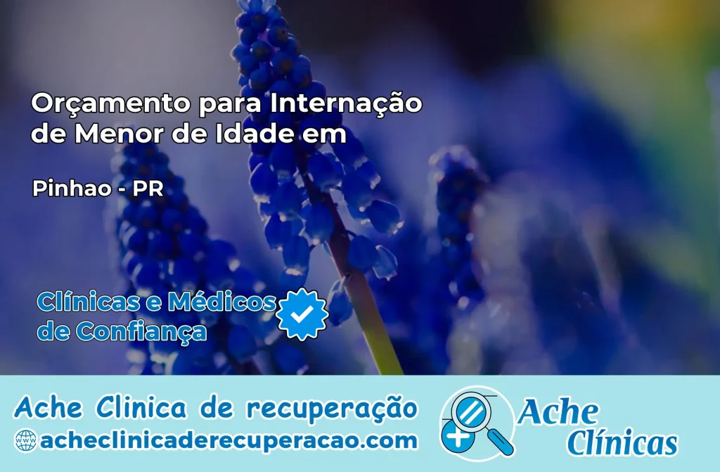 Internação de Menor de Idade em Pinhão – PR