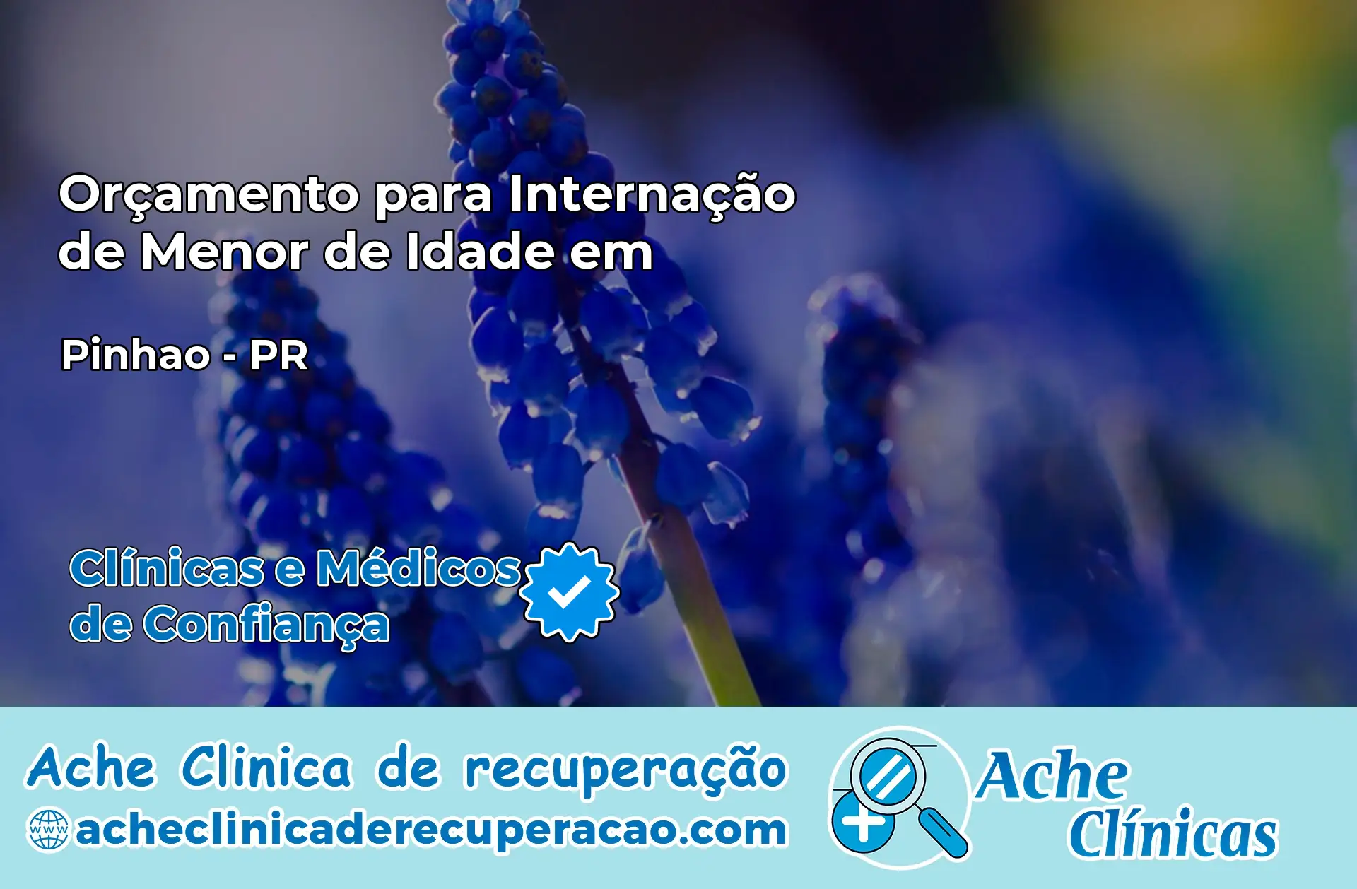 Internação de Menor de Idade em Pinhão – PR