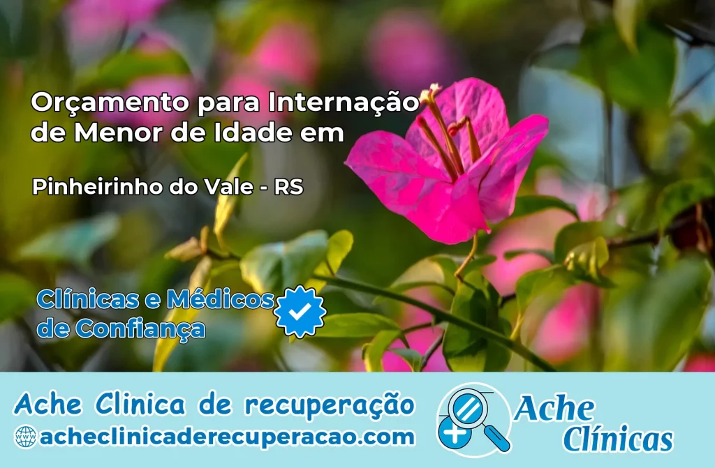 Internação de Menor de Idade em Pinheirinho do Vale – RS