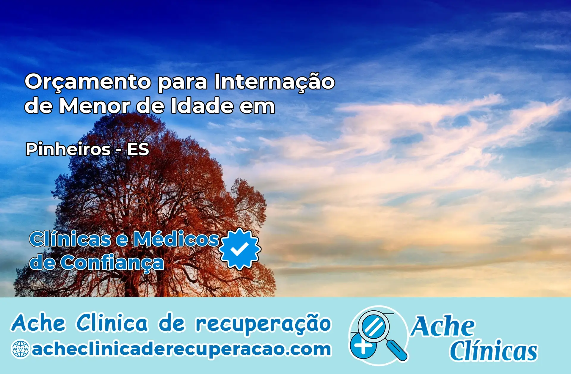 Internação de Menor de Idade em Pinheiros – ES