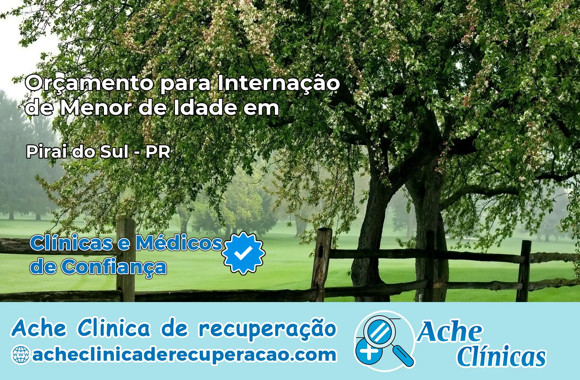 Internação de Menor de Idade em Piraí do Sul – PR