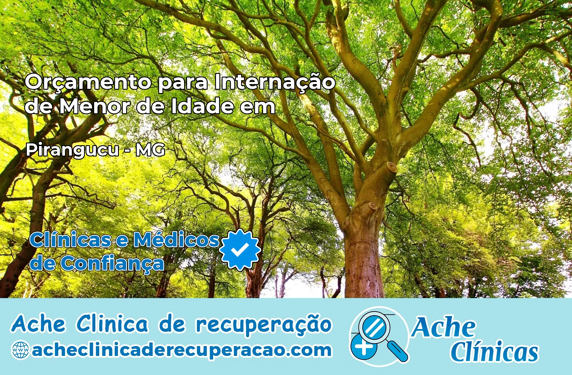 Internação de Menor de Idade em Piranguçu – MG