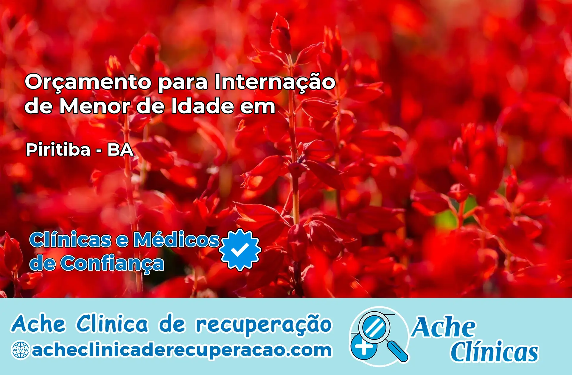 Internação de Menor de Idade em Piritiba – BA