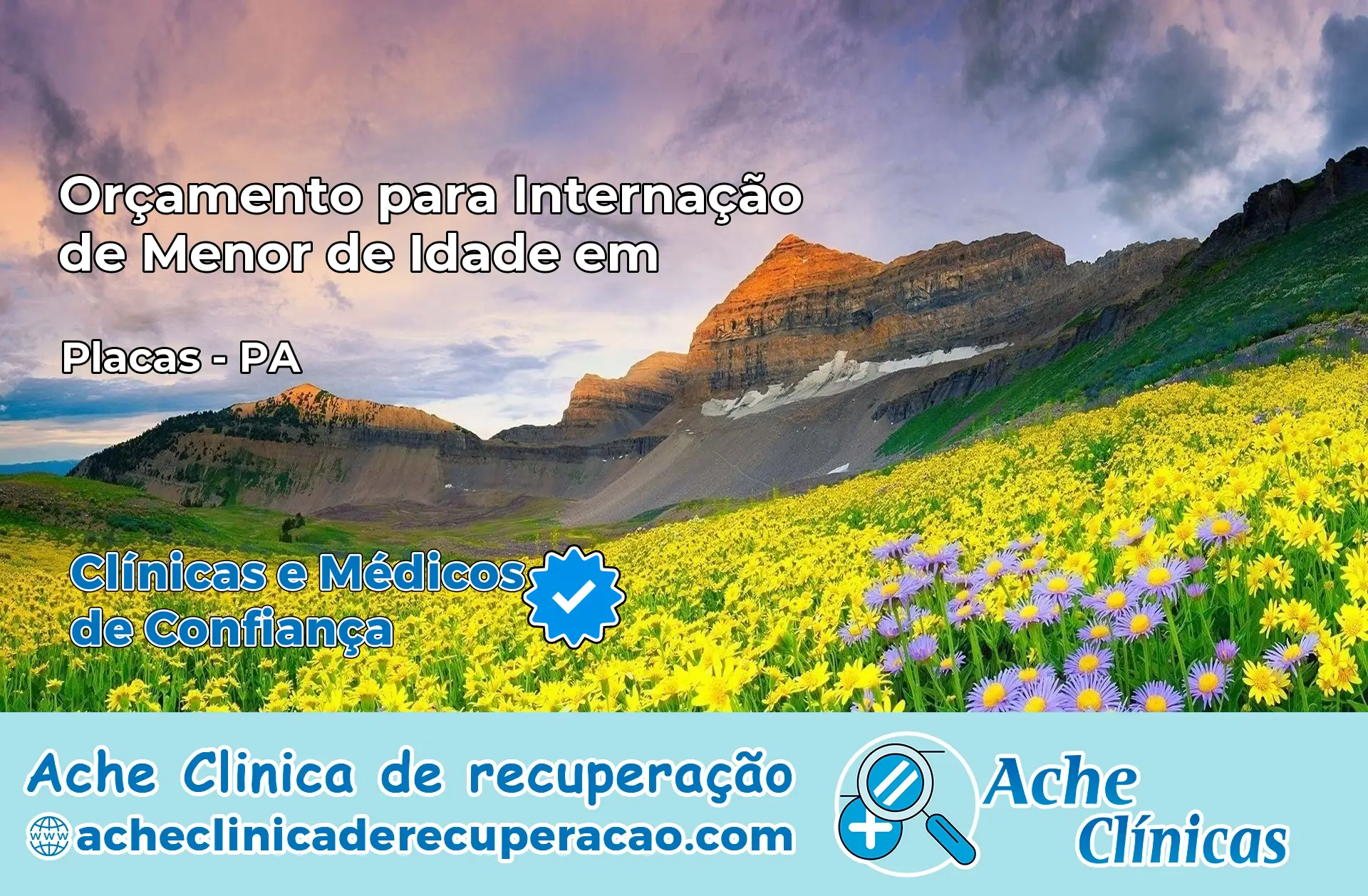 Internação de Menor de Idade em Placas – PA