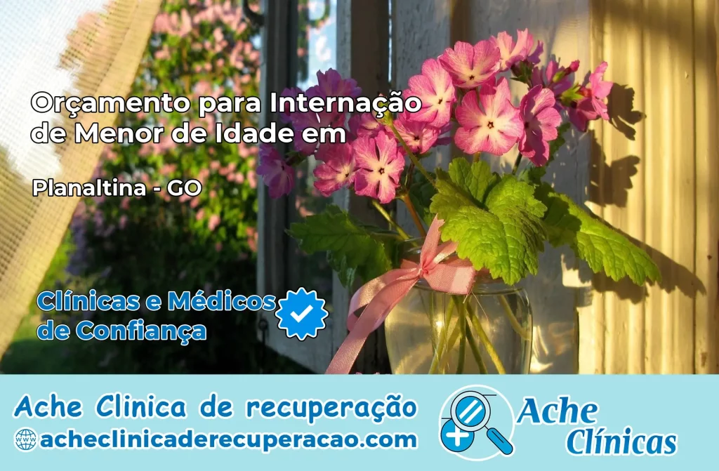 Internação de Menor de Idade em Planaltina – GO