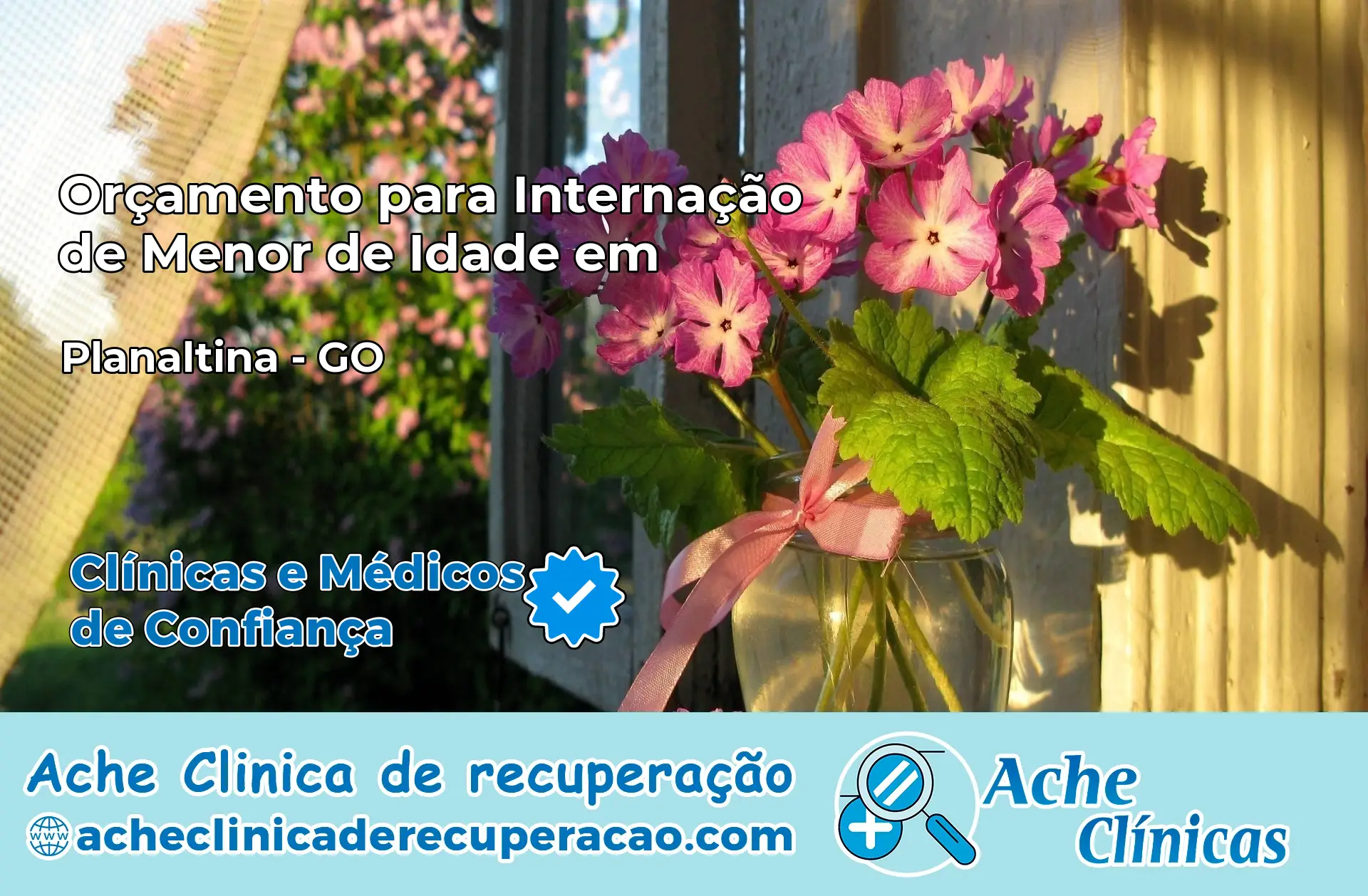 Internação de Menor de Idade em Planaltina – GO