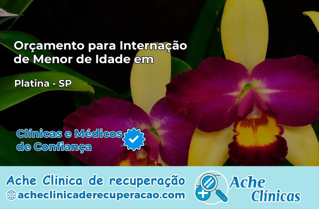 Internação de Menor de Idade em Platina – SP