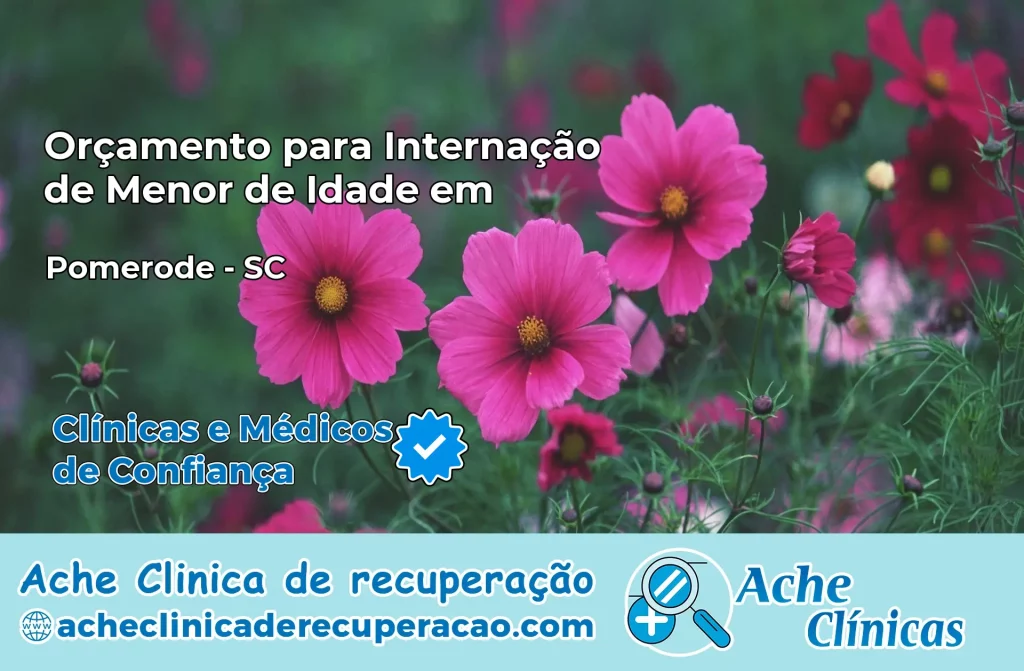 Internação de Menor de Idade em Pomerode – SC