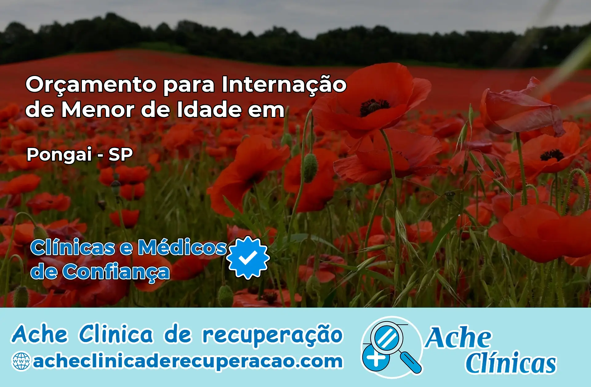 Internação de Menor de Idade em Pongaí – SP