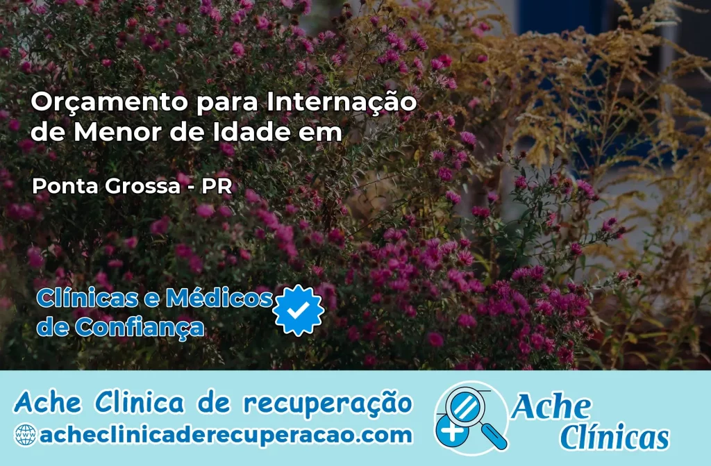 Internação de Menor de Idade em Ponta Grossa – PR