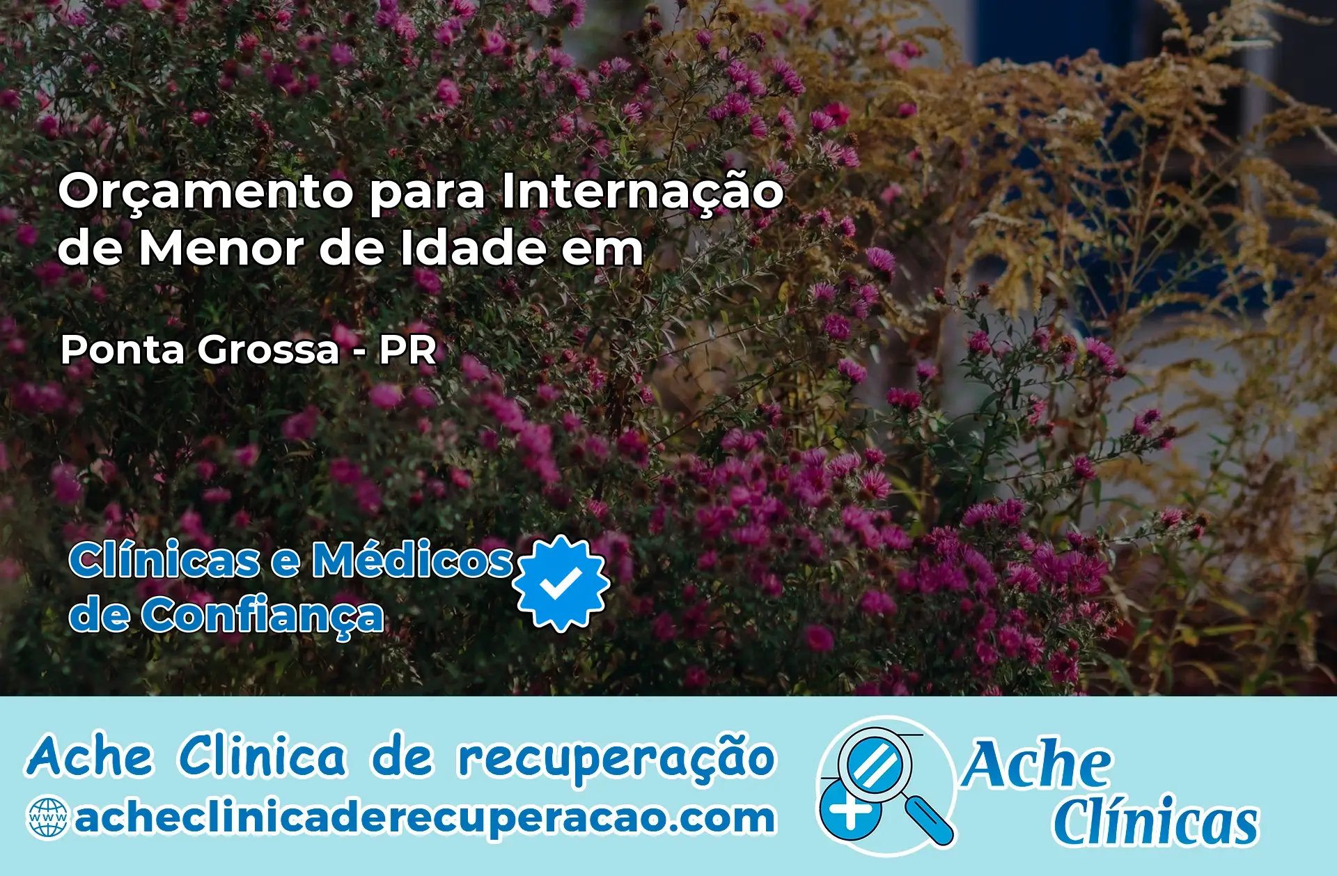 Internação de Menor de Idade em Ponta Grossa – PR