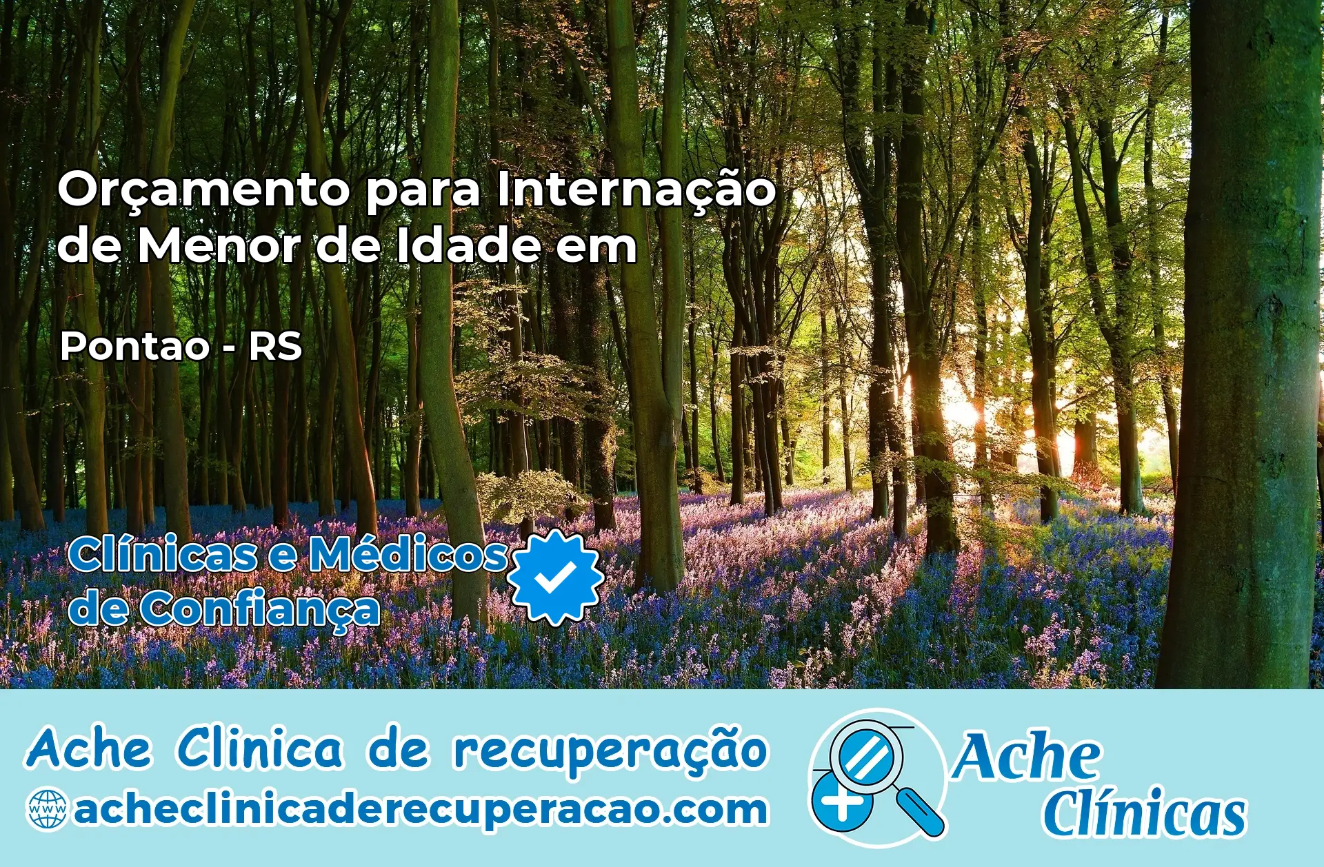 Internação de Menor de Idade em Pontão – RS