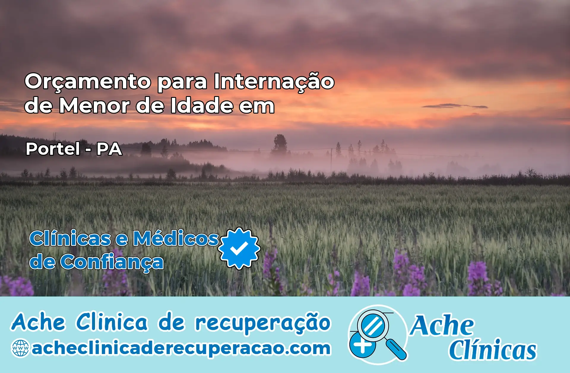 Internação de Menor de Idade em Portel – PA