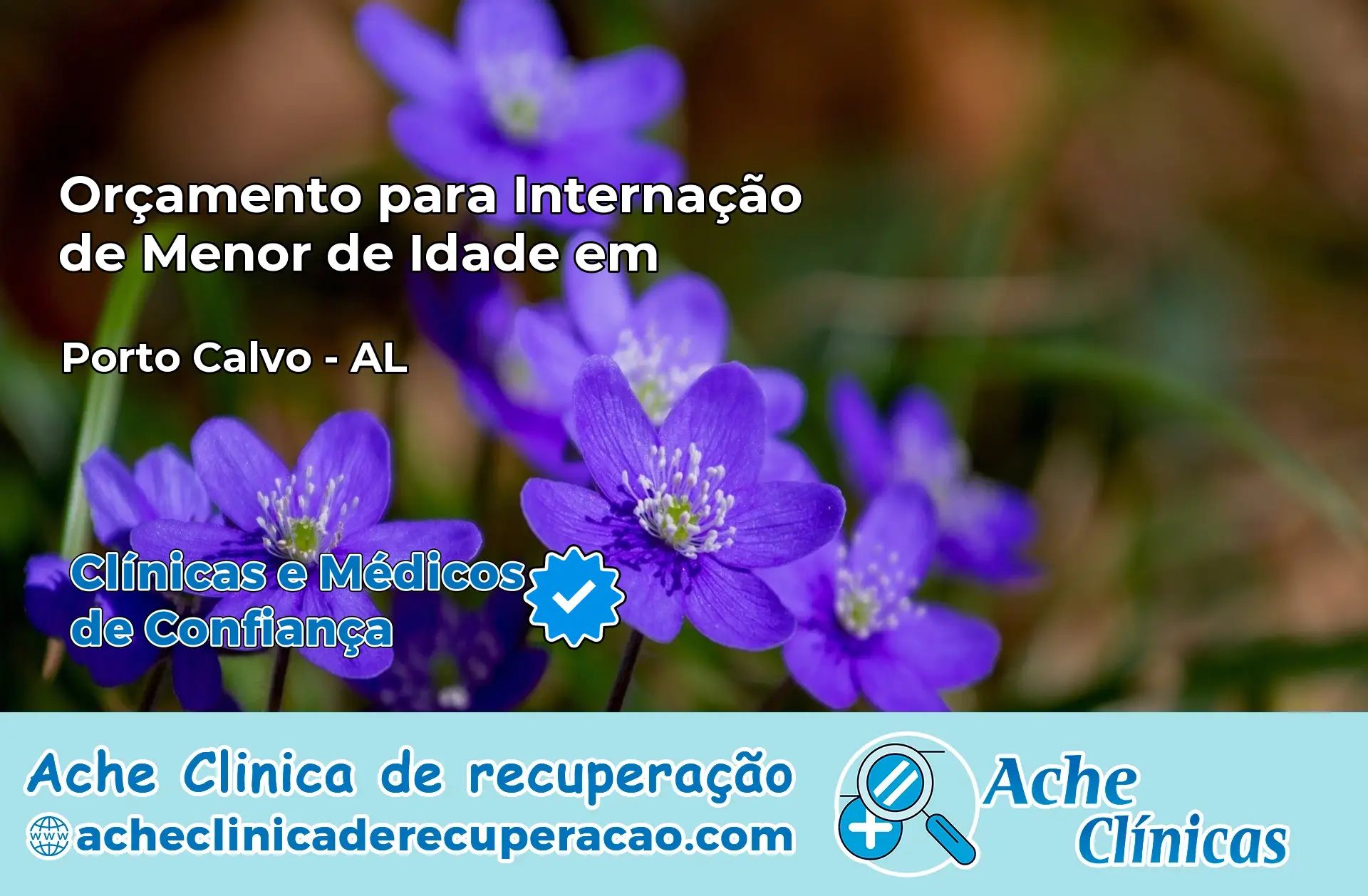 Internação de Menor de Idade em Porto Calvo – AL