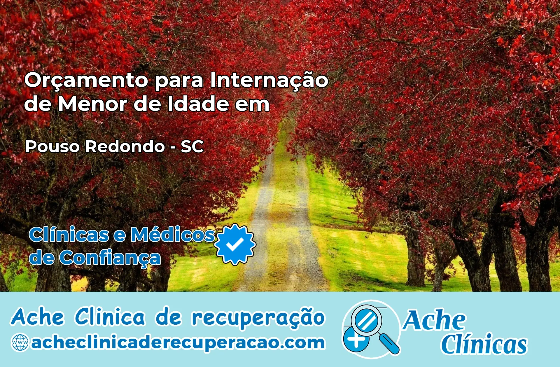 Internação de Menor de Idade em Pouso Redondo – SC