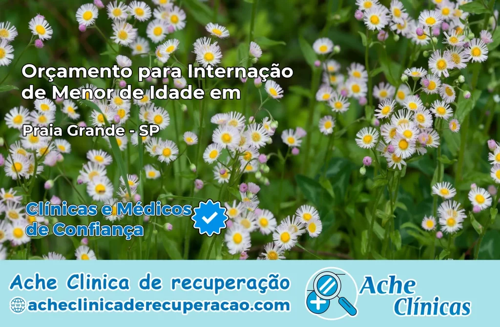 Internação de Menor de Idade em Praia Grande – SP