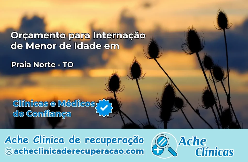 Internação de Menor de Idade em Praia Norte – TO