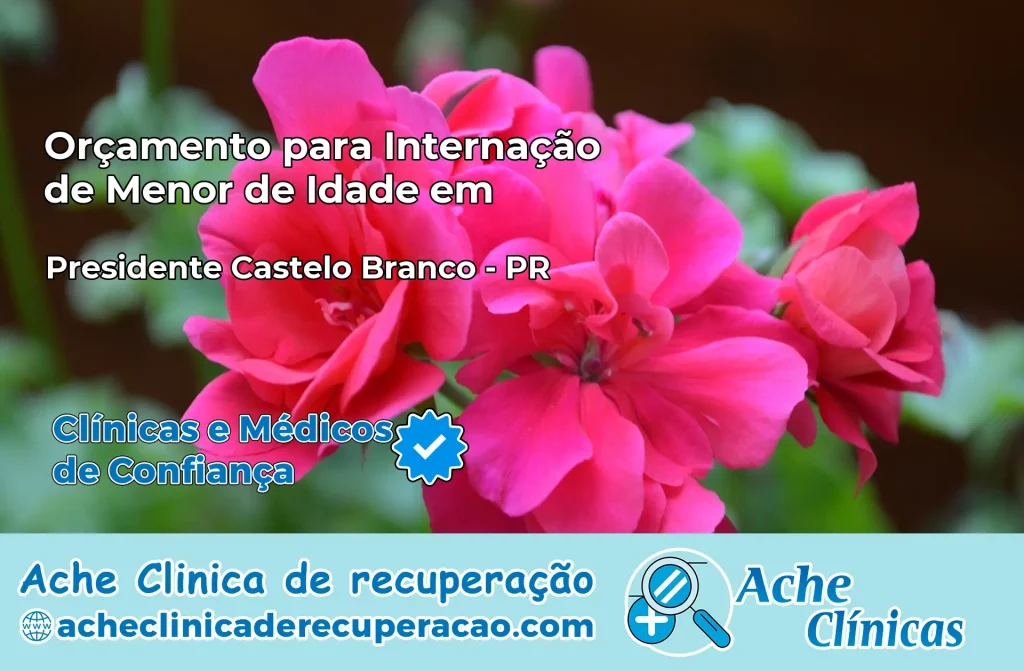 Internação de Menor de Idade em Presidente Castelo Branco – PR
