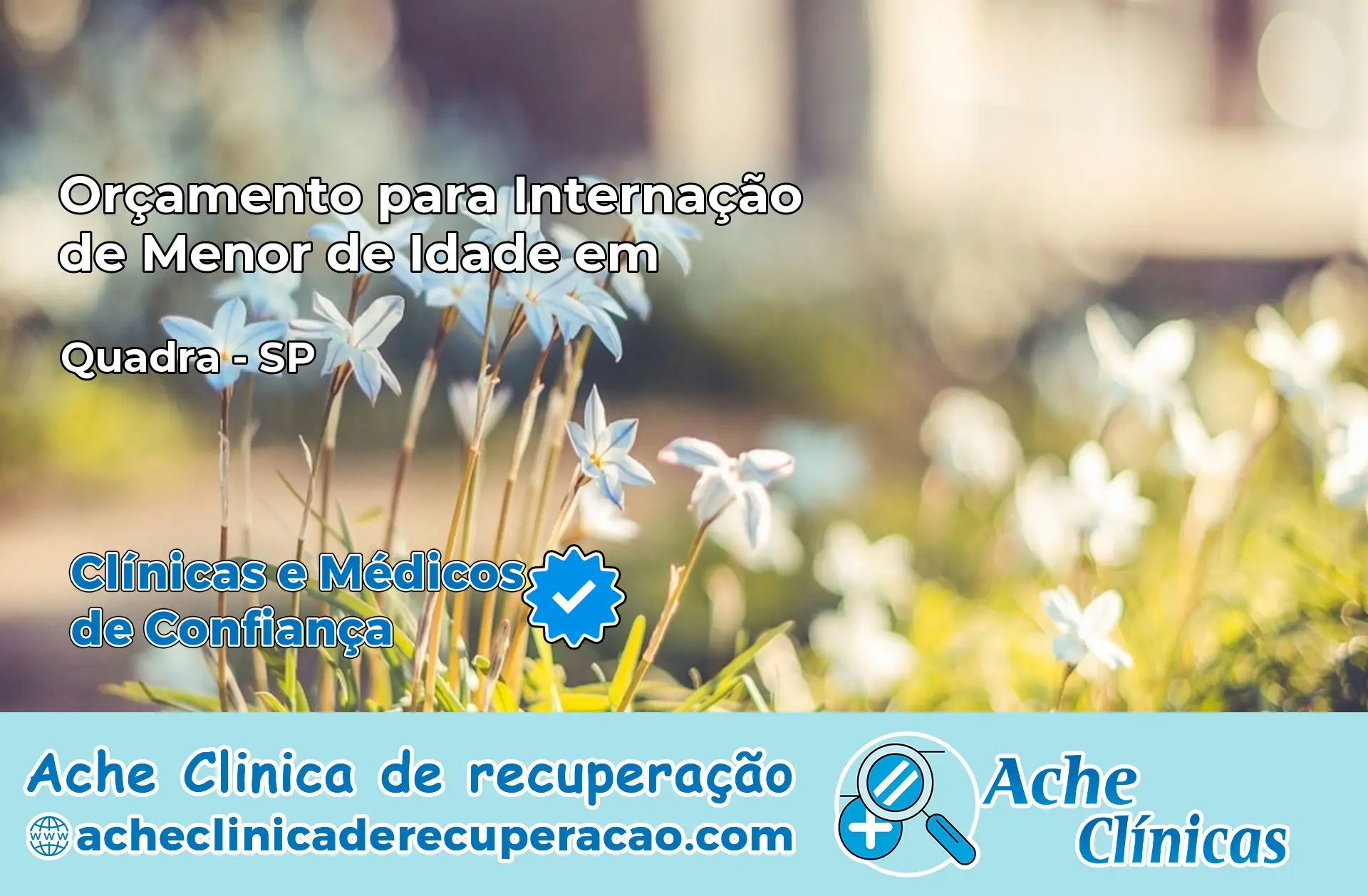 Internação de Menor de Idade em Quadra – SP