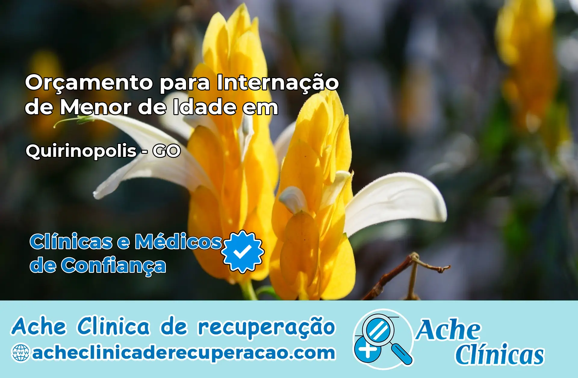 Internação de Menor de Idade em Quirinópolis – GO