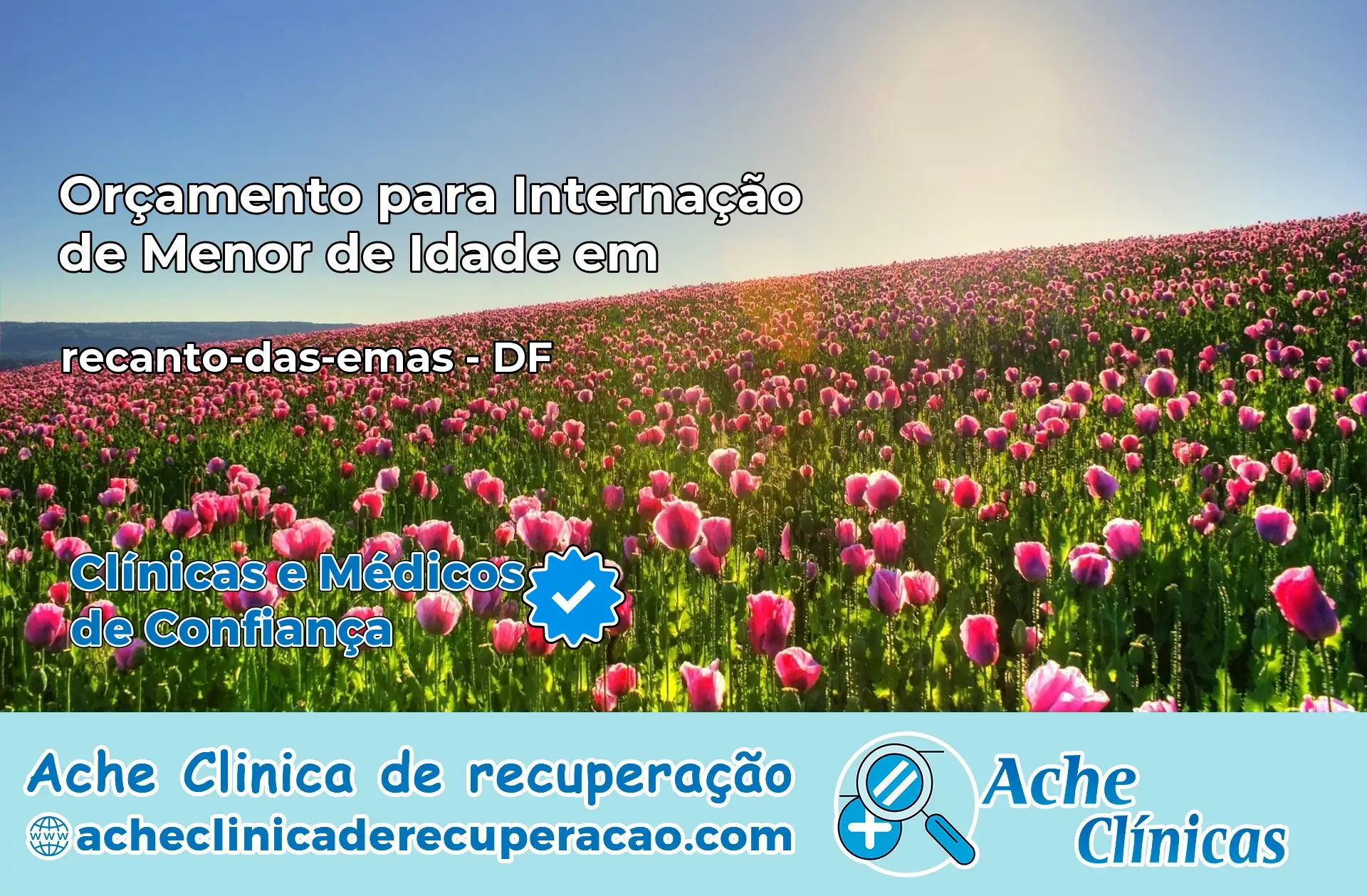Internação de Menor de Idade em recanto-das-emas – DF