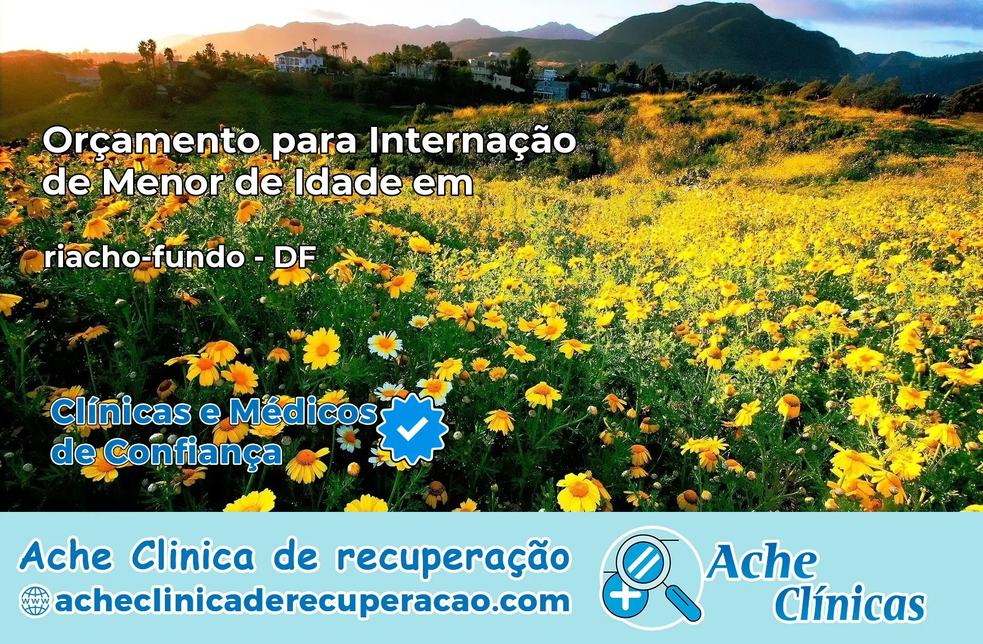 Internação de Menor de Idade em riacho-fundo – DF