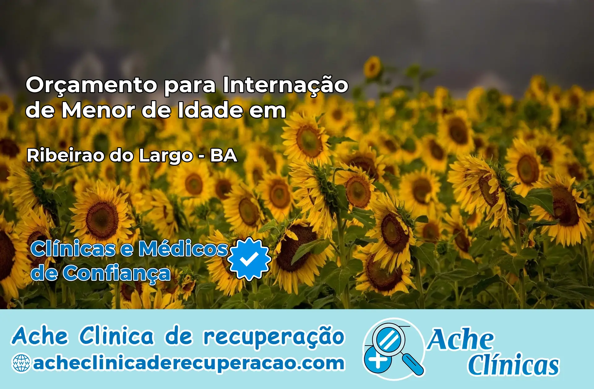 Internação de Menor de Idade em Ribeirão do Largo – BA