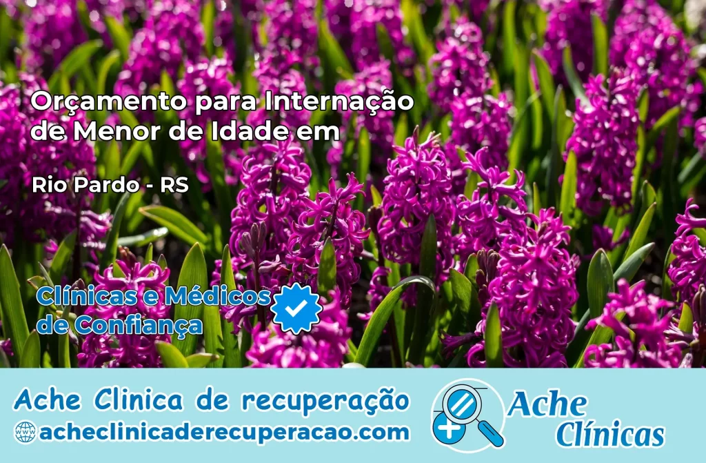 Internação de Menor de Idade em Rio Pardo – RS