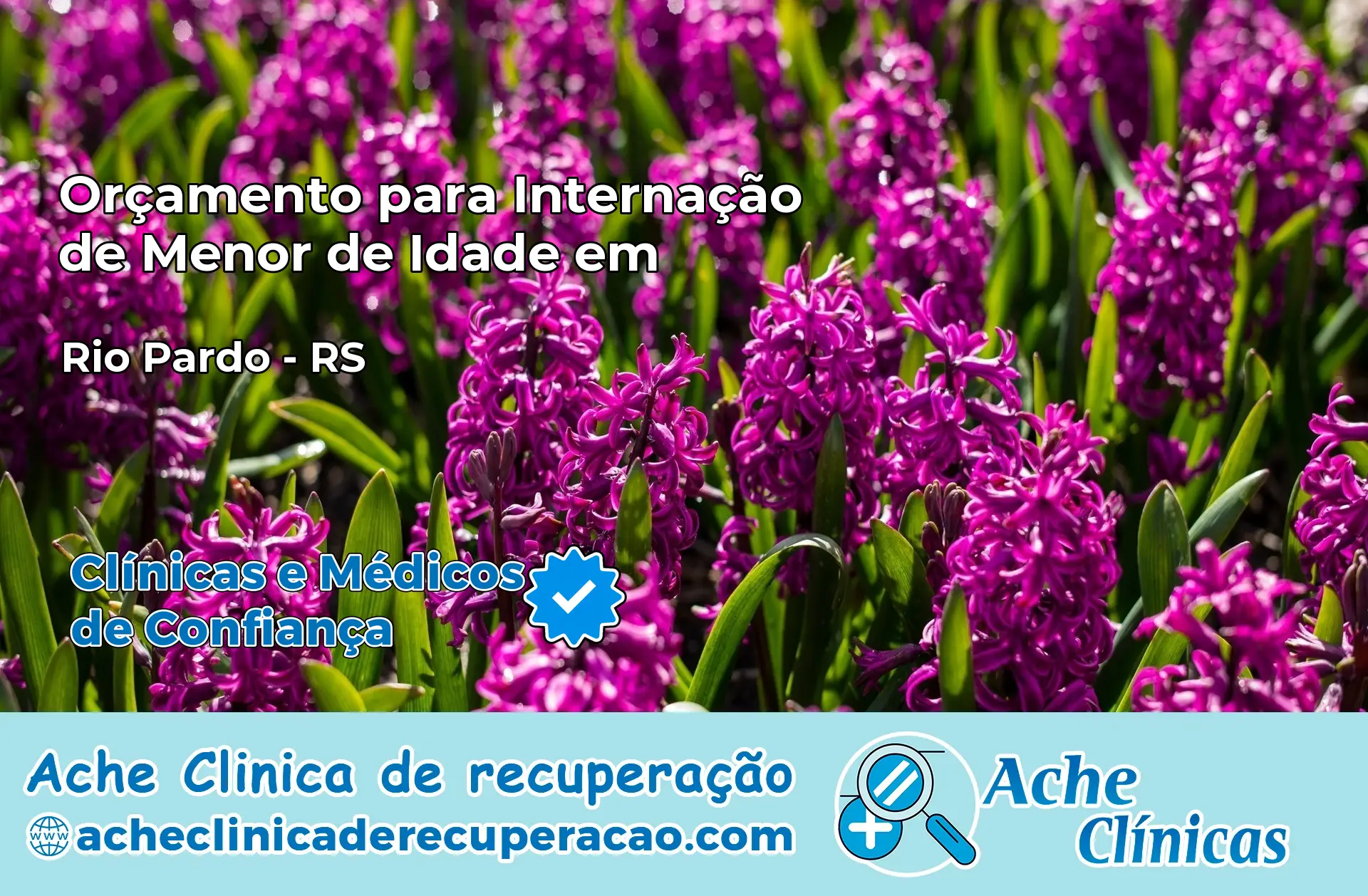 Internação de Menor de Idade em Rio Pardo – RS