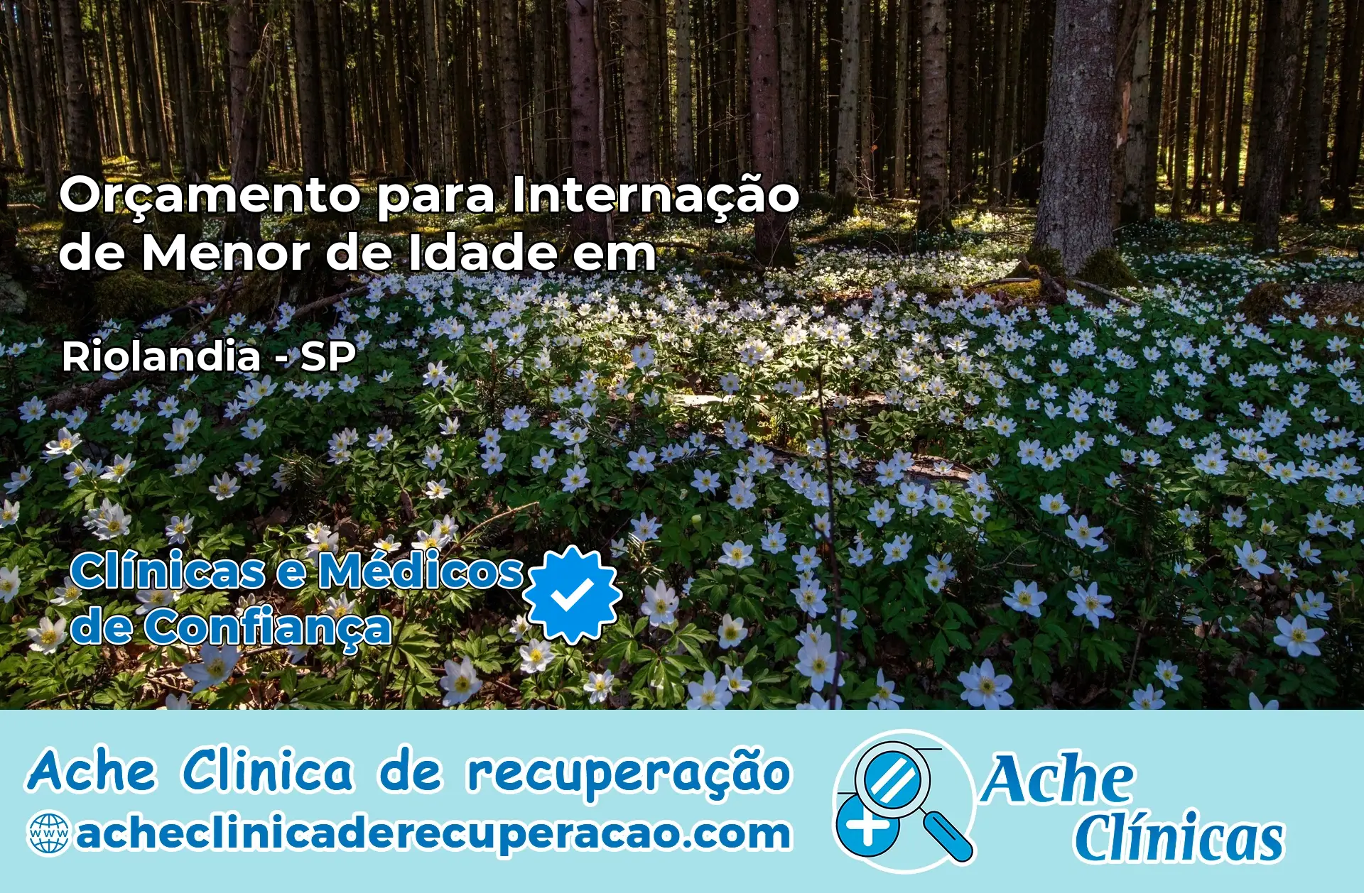 Internação de Menor de Idade em Riolândia – SP