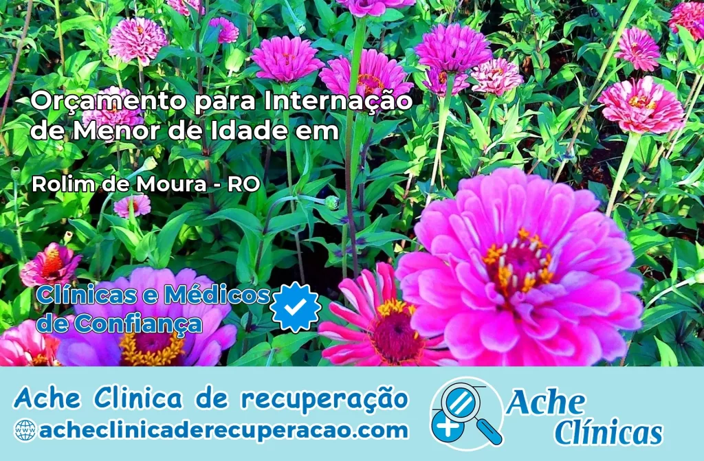 Internação de Menor de Idade em Rolim de Moura – RO