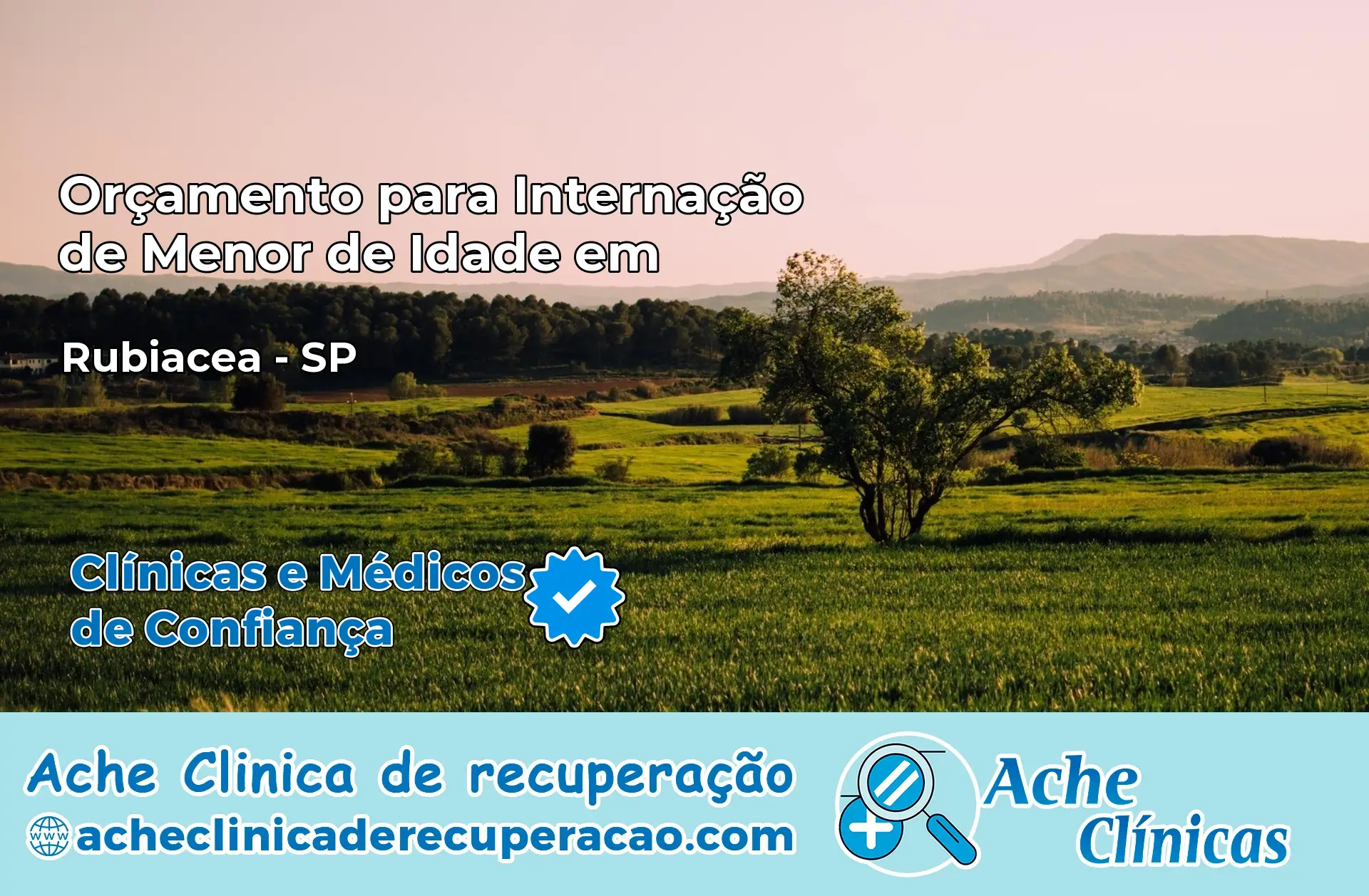 Internação de Menor de Idade em Rubiácea – SP