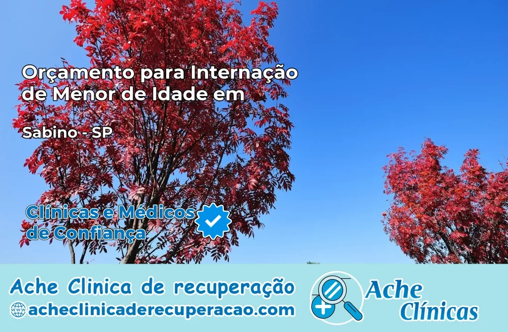 Internação de Menor de Idade em Sabino – SP