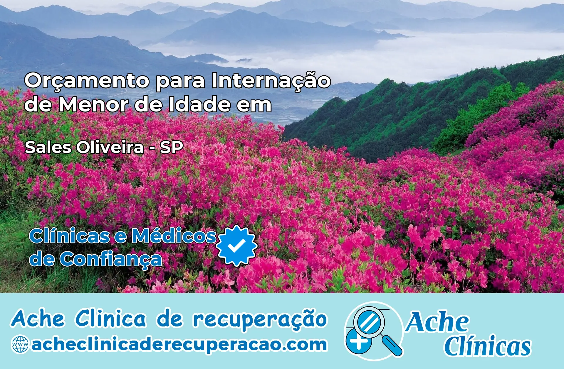 Internação de Menor de Idade em Sales Oliveira – SP
