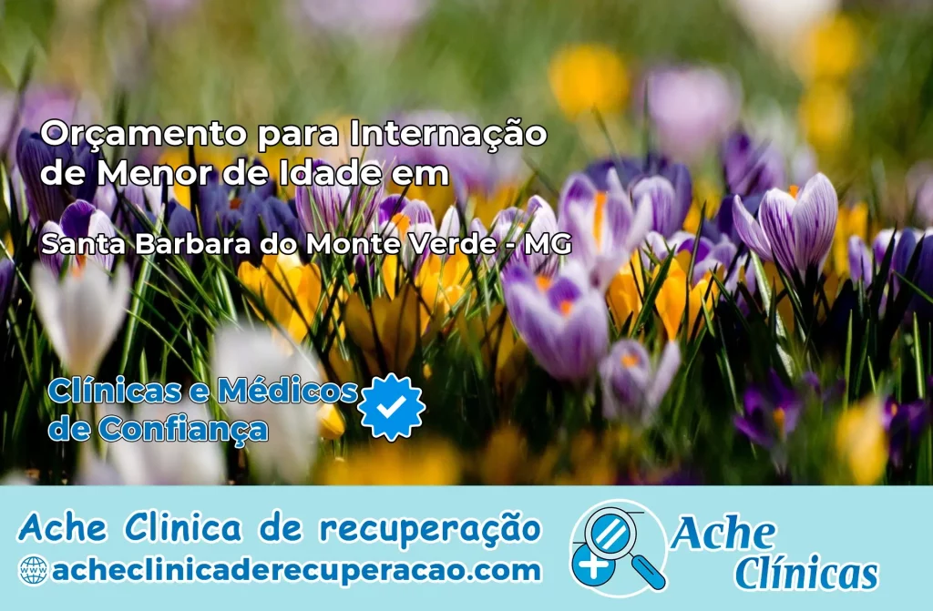 Internação de Menor de Idade em Santa Bárbara do Monte Verde – MG