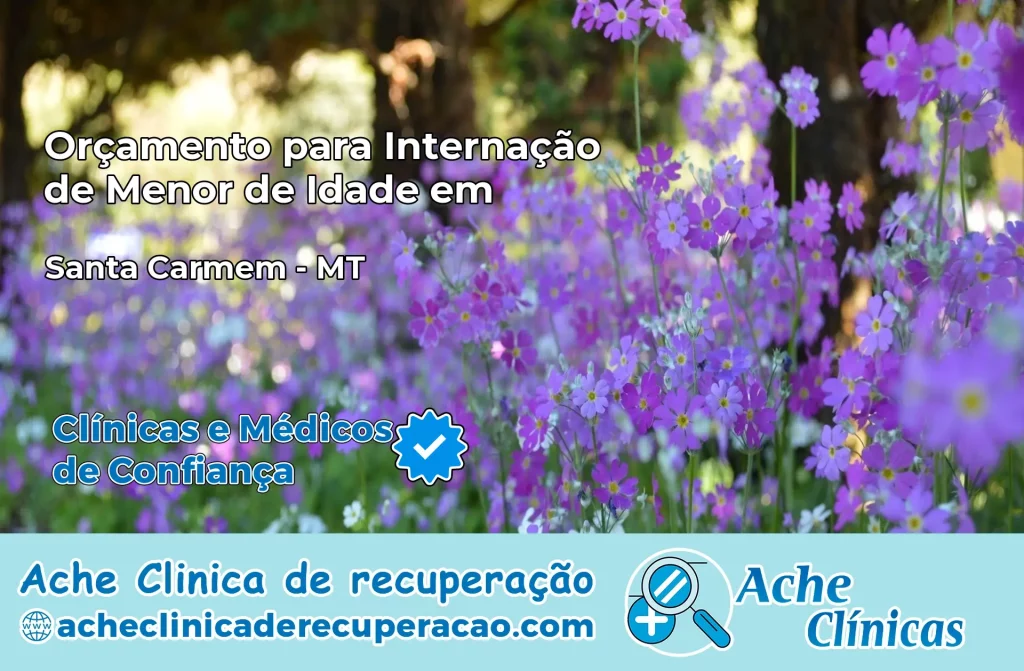 Internação de Menor de Idade em Santa Carmem – MT