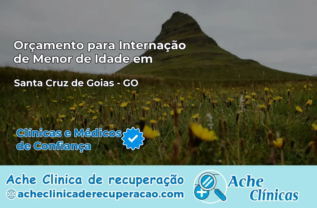 Internação de Menor de Idade em Santa Cruz de Goiás – GO
