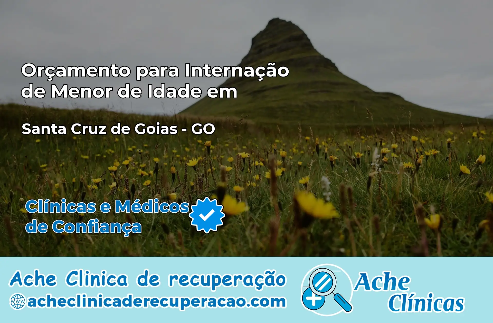 Internação de Menor de Idade em Santa Cruz de Goiás – GO