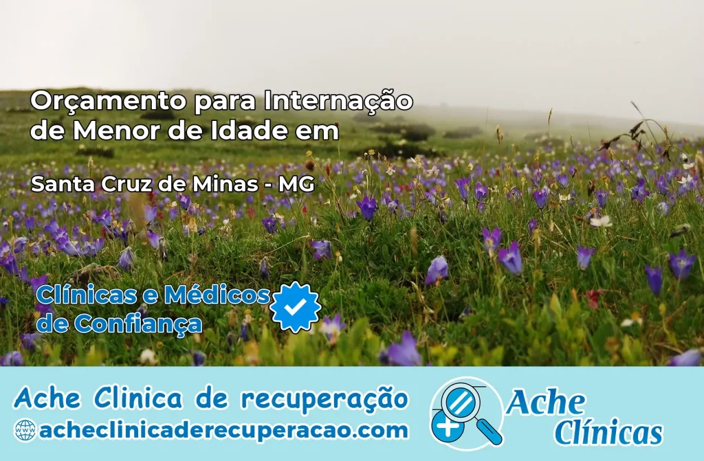 Internação de Menor de Idade em Santa Cruz de Minas – MG