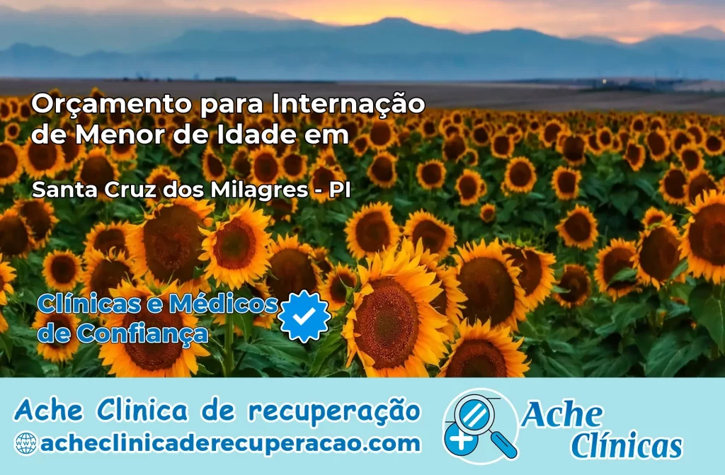 Internação de Menor de Idade em Santa Cruz dos Milagres – PI