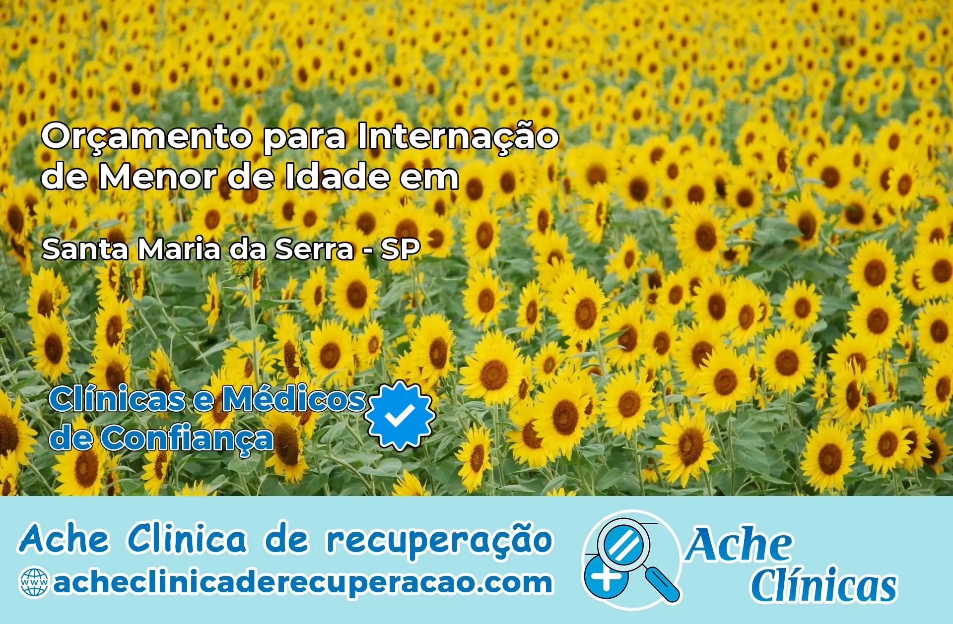 Internação de Menor de Idade em Santa Maria da Serra – SP