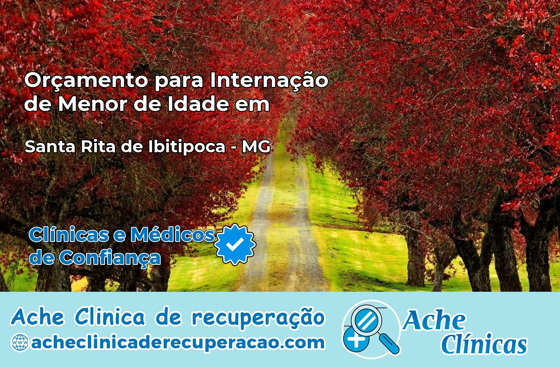 Internação de Menor de Idade em Santa Rita de Ibitipoca – MG